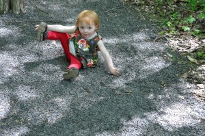 hiking at dinosaur state park