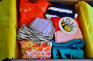 wittlebee box review