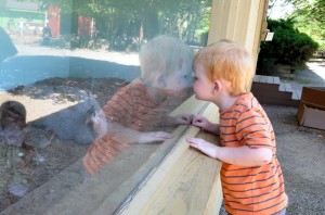reston zoo