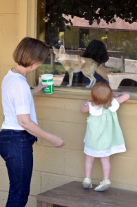 reston zoo