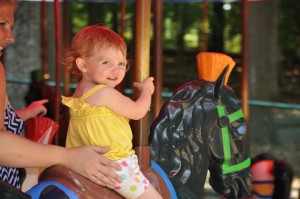 burke lake park carousel