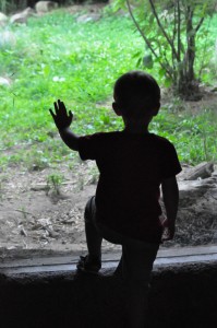 roger williams park zoo
