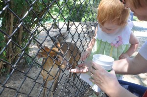 reston zoo