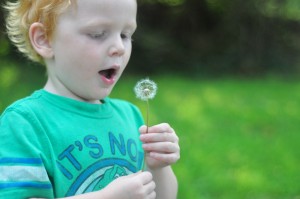5 tips for taking great photos even if you don't know what you're doing