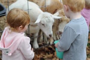 clark farms 2012
