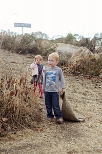 clark farms 2012