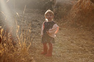 clark farms 2012