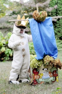 where the wild things are costume